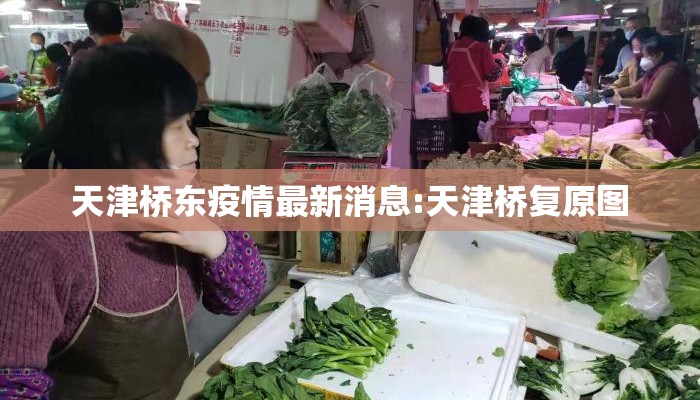 天津桥东疫情最新消息:天津桥复原图