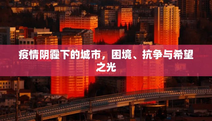 疫情阴霾下的城市，困境、抗争与希望之光