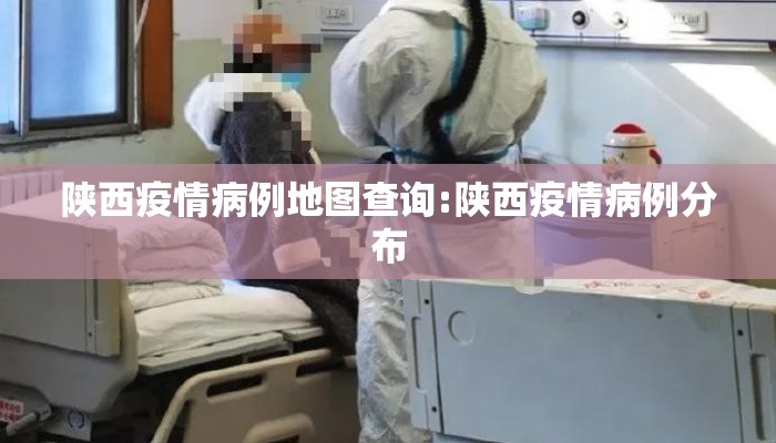 陕西疫情病例地图查询:陕西疫情病例分布