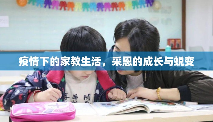 疫情下的家教生活，采恩的成长与蜕变
