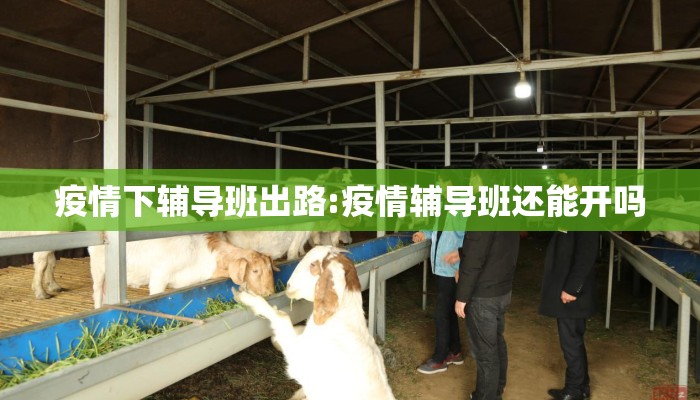 疫情下辅导班出路:疫情辅导班还能开吗