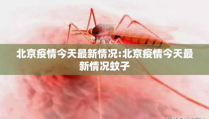 北京疫情今天最新情况:北京疫情今天最新情况蚊子