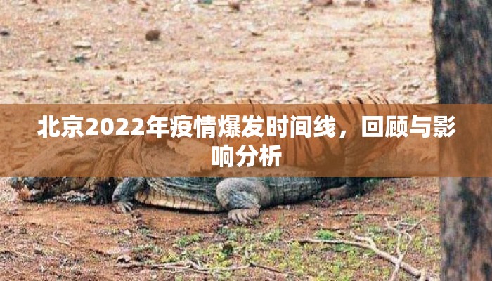 北京2022年疫情爆发时间线，回顾与影响分析