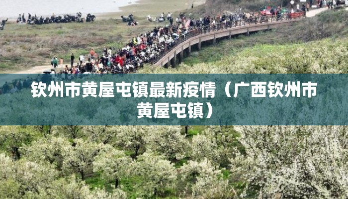 钦州市黄屋屯镇最新疫情（广西钦州市黄屋屯镇）