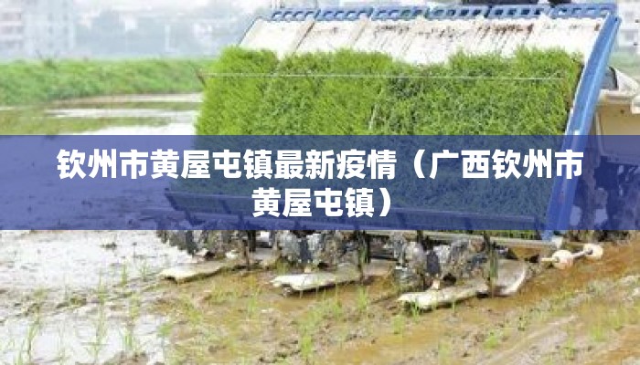 钦州市黄屋屯镇最新疫情（广西钦州市黄屋屯镇）