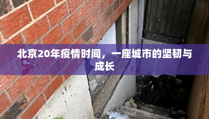 北京20年疫情时间，一座城市的坚韧与成长