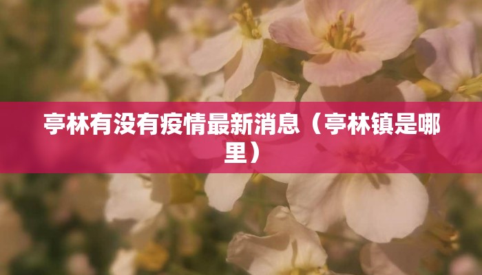 亭林有没有疫情最新消息（亭林镇是哪里）