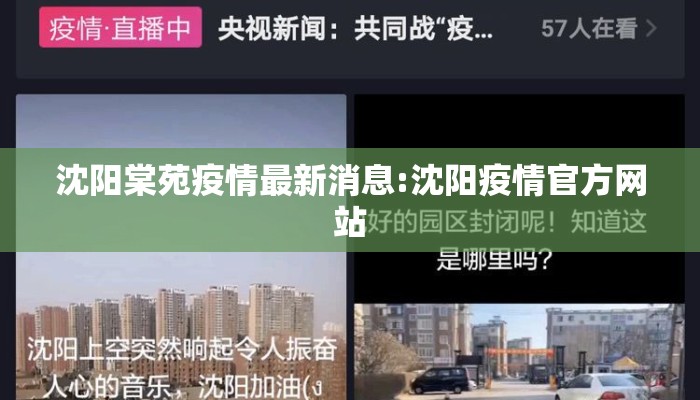 沈阳棠苑疫情最新消息:沈阳疫情官方网站
