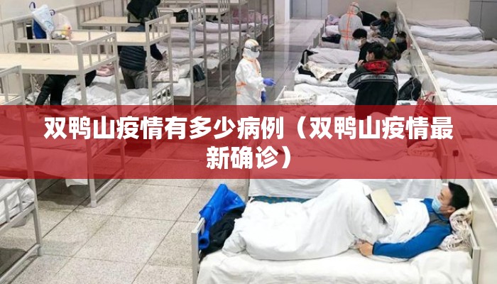 双鸭山疫情有多少病例（双鸭山疫情最新确诊）