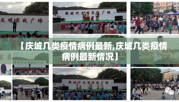【庆城几类疫情病例最新,庆城几类疫情病例最新情况】