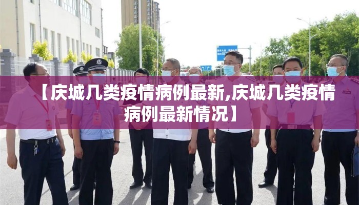 【庆城几类疫情病例最新,庆城几类疫情病例最新情况】
