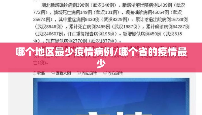 哪个地区最少疫情病例/哪个省的疫情最少