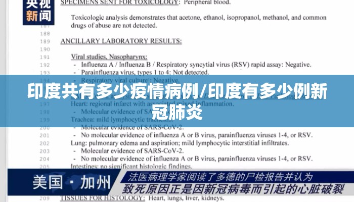 印度共有多少疫情病例/印度有多少例新冠肺炎
