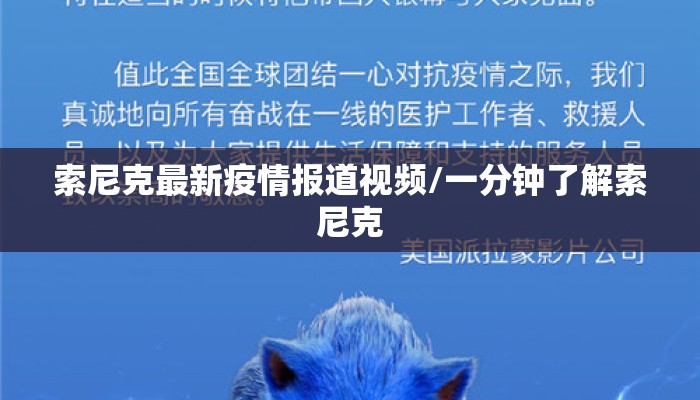 索尼克最新疫情报道视频/一分钟了解索尼克