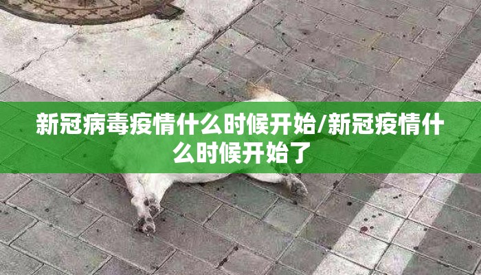 新冠病毒疫情什么时候开始/新冠疫情什么时候开始了