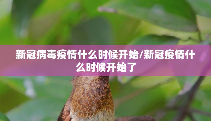 新冠病毒疫情什么时候开始/新冠疫情什么时候开始了