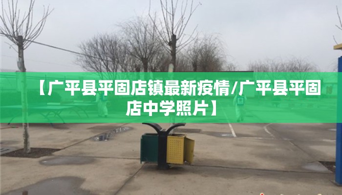 【广平县平固店镇最新疫情/广平县平固店中学照片】