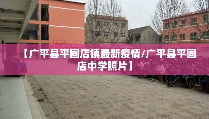 【广平县平固店镇最新疫情/广平县平固店中学照片】