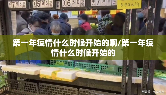 第一年疫情什么时候开始的啊/第一年疫情什么时候开始的