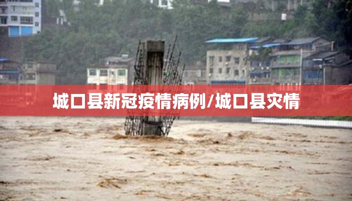 城口县新冠疫情病例/城口县灾情