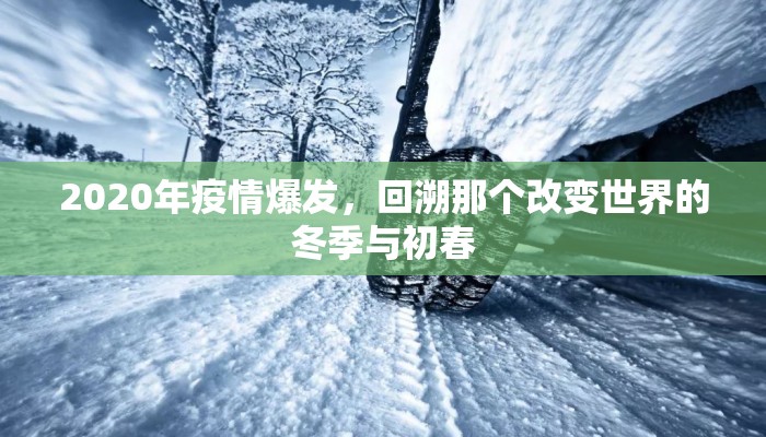 2020年疫情爆发，回溯那个改变世界的冬季与初春