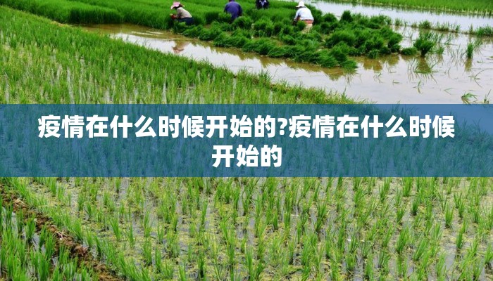 疫情在什么时候开始的?疫情在什么时候开始的