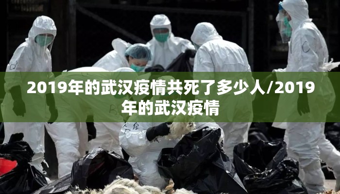 2019年的武汉疫情共死了多少人/2019年的武汉疫情