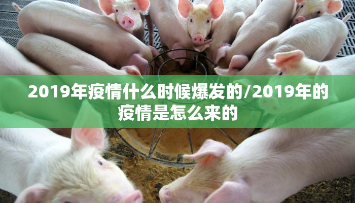 2019年疫情什么时候爆发的/2019年的疫情是怎么来的