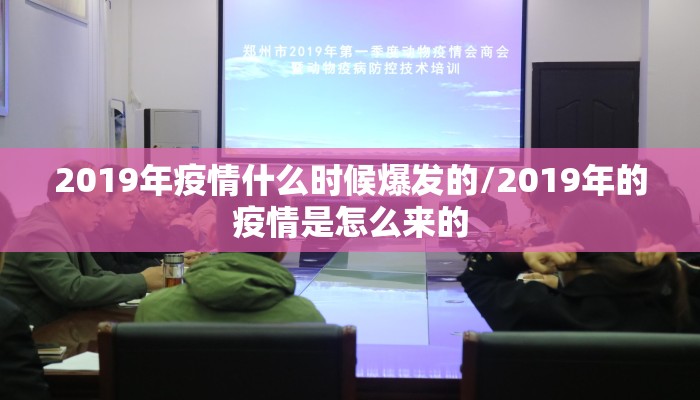 2019年疫情什么时候爆发的/2019年的疫情是怎么来的