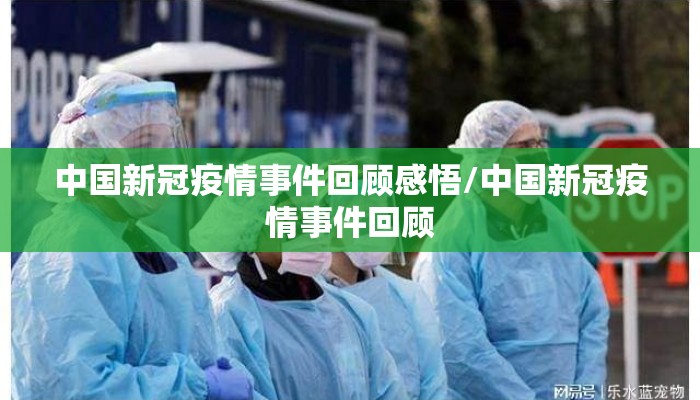 中国新冠疫情事件回顾感悟/中国新冠疫情事件回顾