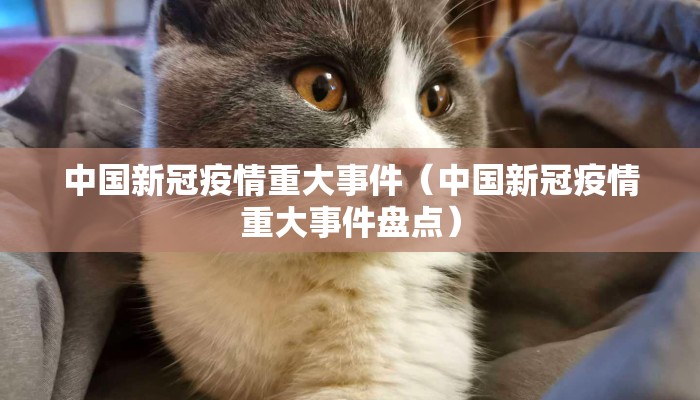中国新冠疫情重大事件（中国新冠疫情重大事件盘点）
