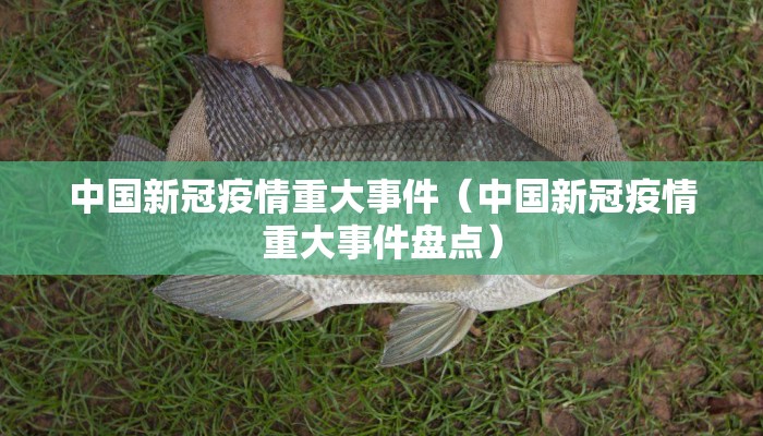 中国新冠疫情重大事件（中国新冠疫情重大事件盘点）