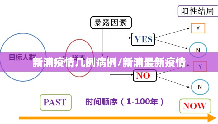 新浦疫情几例病例/新浦最新疫情