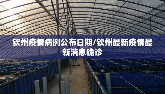 钦州疫情病例公布日期/钦州最新疫情最新消息确诊