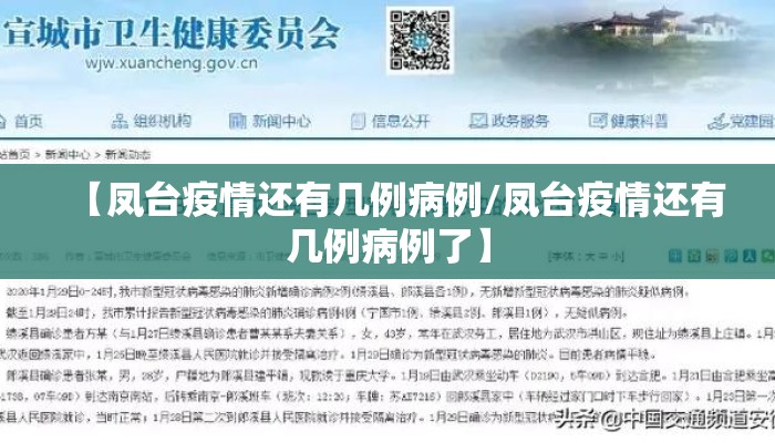 【凤台疫情还有几例病例/凤台疫情还有几例病例了】