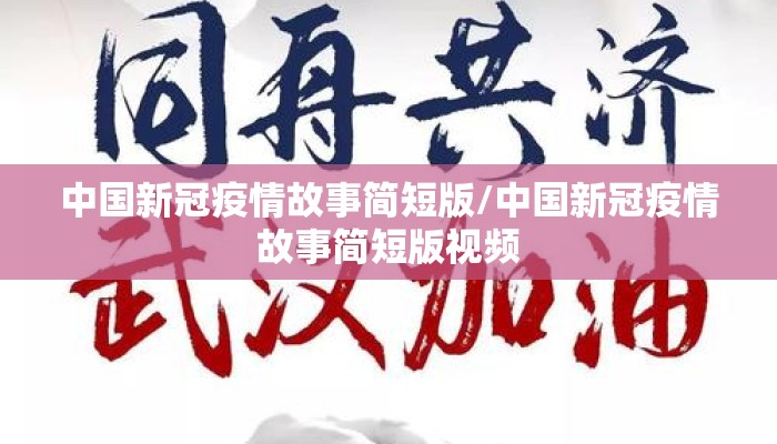 中国新冠疫情故事简短版/中国新冠疫情故事简短版视频