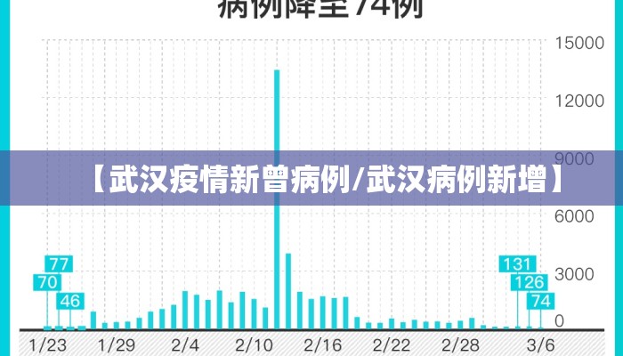 【武汉疫情新曾病例/武汉病例新增】