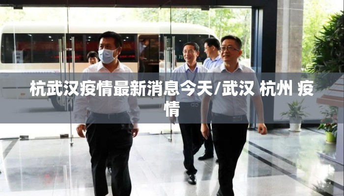 杭武汉疫情最新消息今天/武汉 杭州 疫情