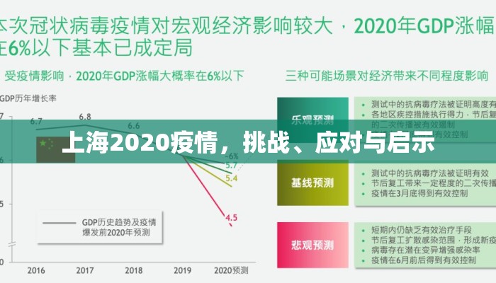 上海2020疫情，挑战、应对与启示