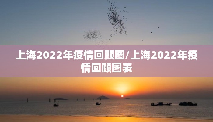 上海2022年疫情回顾图/上海2022年疫情回顾图表