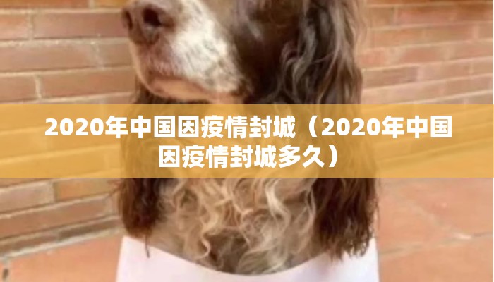 2020年中国因疫情封城（2020年中国因疫情封城多久）