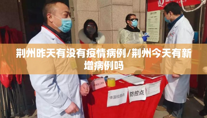 荆州昨天有没有疫情病例/荆州今天有新增病例吗
