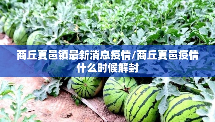 商丘夏邑镇最新消息疫情/商丘夏邑疫情什么时候解封