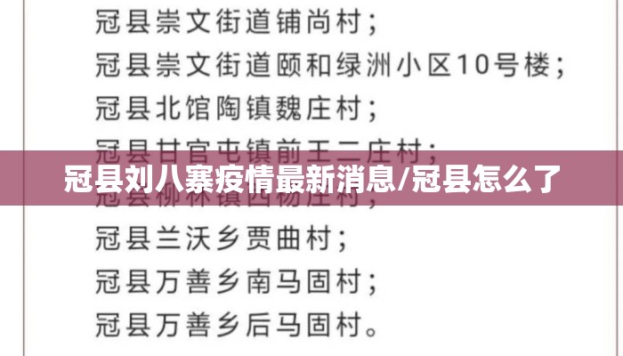 冠县刘八寨疫情最新消息/冠县怎么了