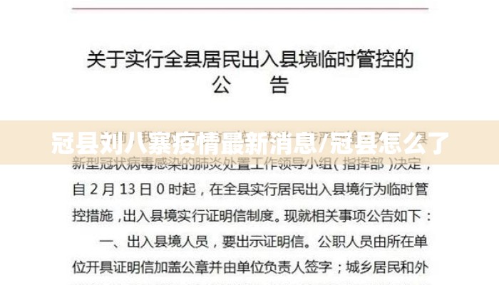 冠县刘八寨疫情最新消息/冠县怎么了