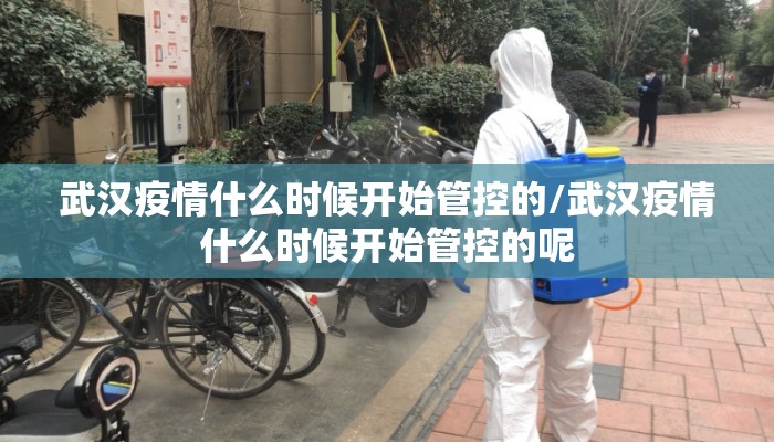 武汉疫情什么时候开始管控的/武汉疫情什么时候开始管控的呢
