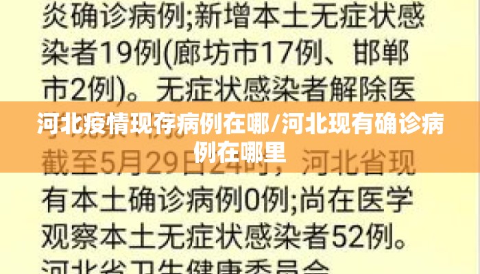 河北疫情现存病例在哪/河北现有确诊病例在哪里