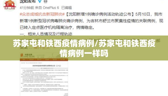 苏家屯和铁西疫情病例/苏家屯和铁西疫情病例一样吗