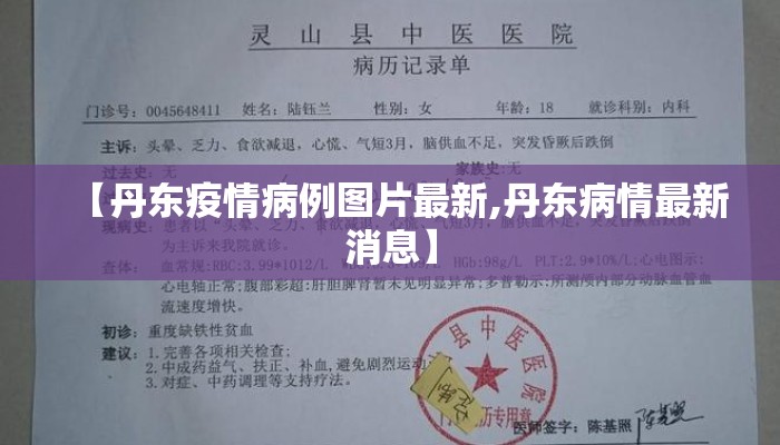 【丹东疫情病例图片最新,丹东病情最新消息】