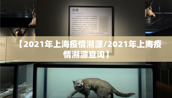 【2021年上海疫情溯源/2021年上海疫情溯源查询】
